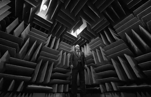 BW Anechoic Man